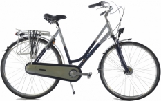Raleigh Priority 57 cm