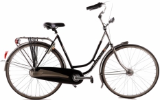 Gazelle Impala 53 cm