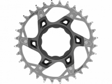 Tarcza mechanizmu korbowego SRAM T-Type XX Eagle TQ 32T