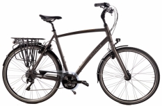 Gazelle Chamonix Sportive S30 61 cm 