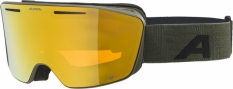 Gogle narciarskie Alpina Nendaz q-lite olive matt