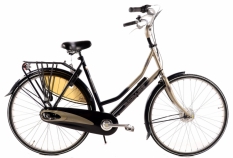 Rower damski Batavus Live 58 cm (L)