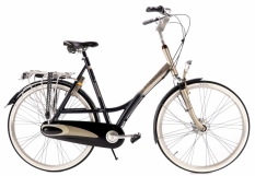 Rower damski Batavus Green Parks 61 cm (XL)
