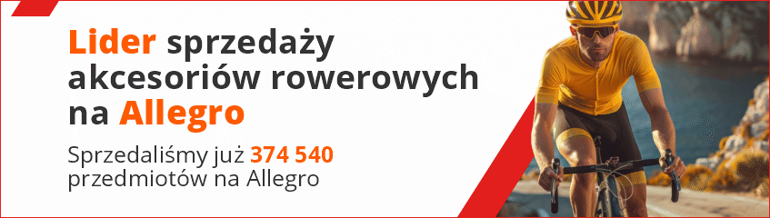 Allegro Rowerowa Holandia