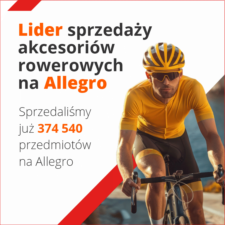 Allegro Rowerowa Holandia