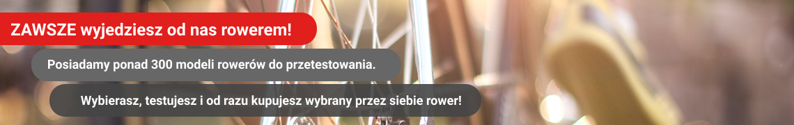 Duży wybór rowerów holenderskich