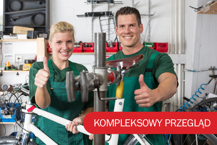 Kompleksowy przegląd używanych rowerów holenderskich